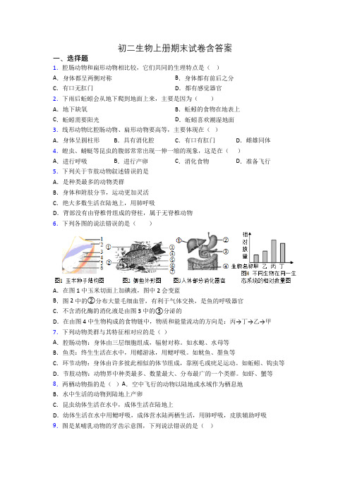 初二生物上册期末试卷含答案