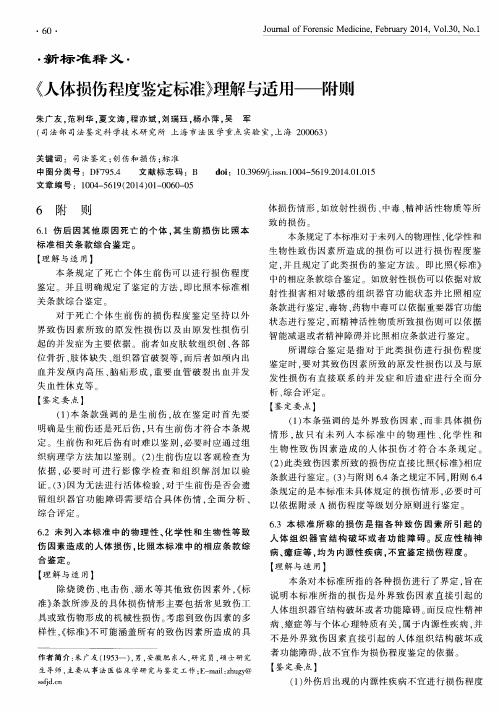 《人体损伤程度鉴定标准》理解与适用一附则