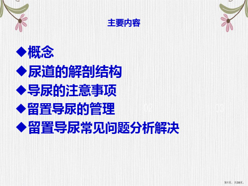 留置尿管护理与常见问题分析