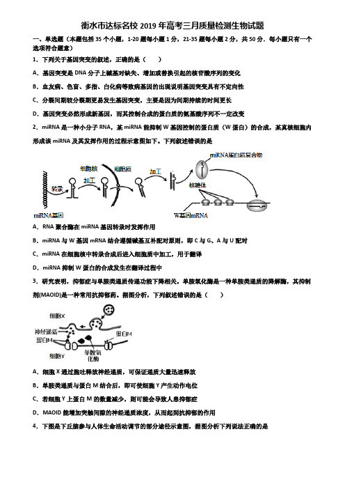 衡水市达标名校2019年高考三月质量检测生物试题含解析