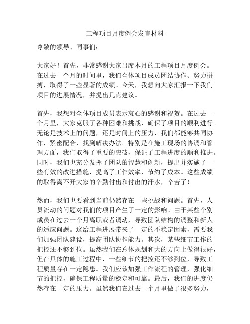 工程项目月度例会发言材料