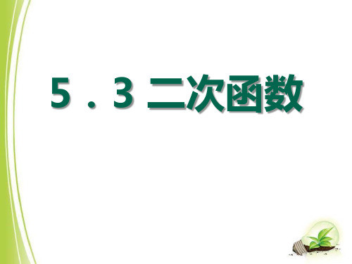 《二次函数》PPT课件2-青岛版九年级数学下册