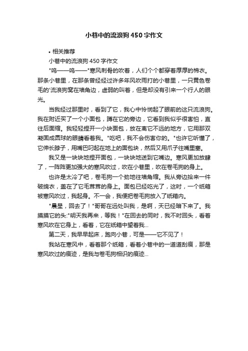 小巷中的流浪狗450字作文