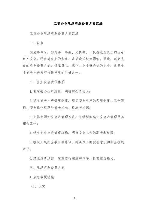 工贸企业现场应急处置方案汇编