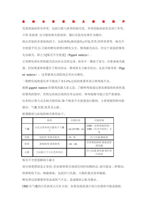 禽病诊断原则及解剖程序