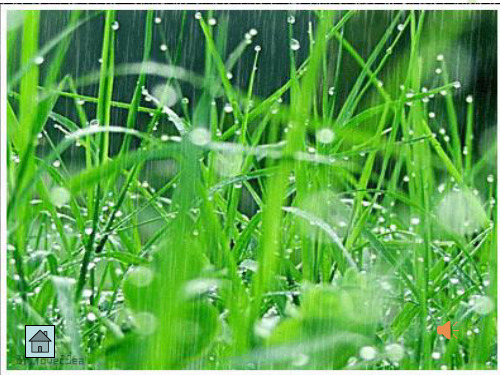 《下雨啦》课件