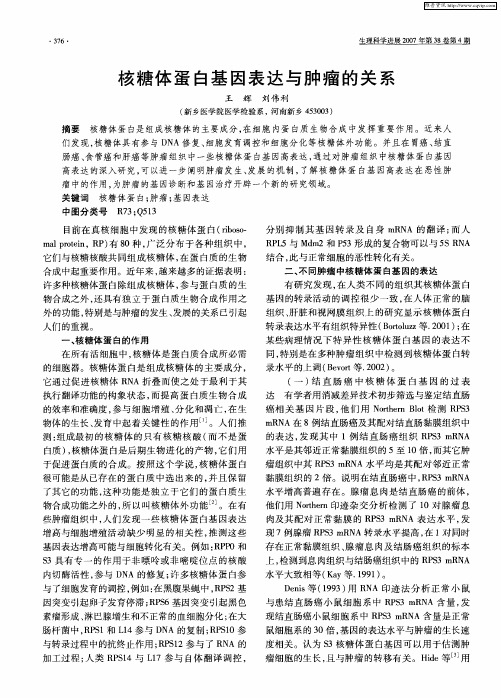 核糖体蛋白基因表达与肿瘤的关系