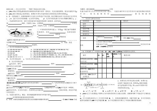 能量之源——光与光合作用复习导学案