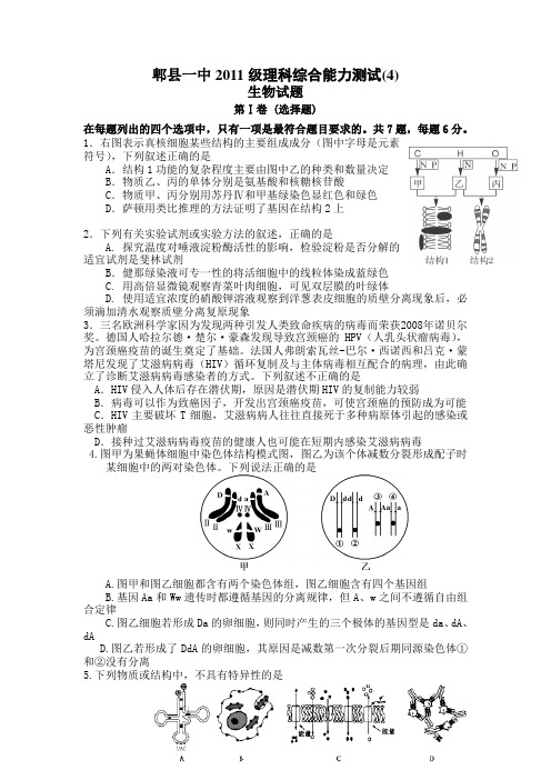 四川省成都市郫县一中2011级理综周考生物试题(4)