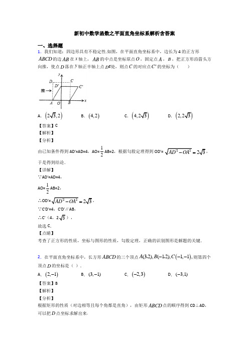 新初中数学函数之平面直角坐标系解析含答案