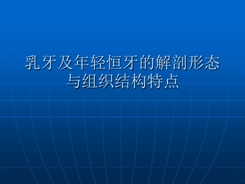 【儿童口腔医学PPT】  牙的解剖形态与组织结构特点