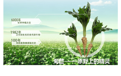 菊苣的发现史及其植物学分类