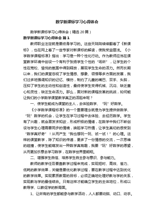 数学新课标学习心得体会（精选20篇）