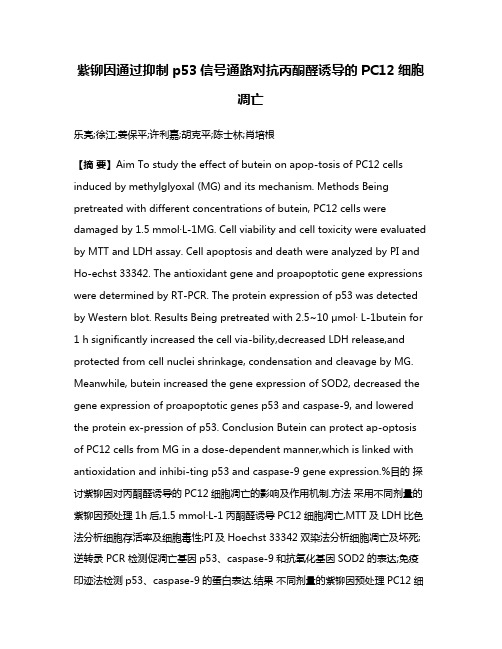 紫铆因通过抑制p53信号通路对抗丙酮醛诱导的PC12细胞凋亡