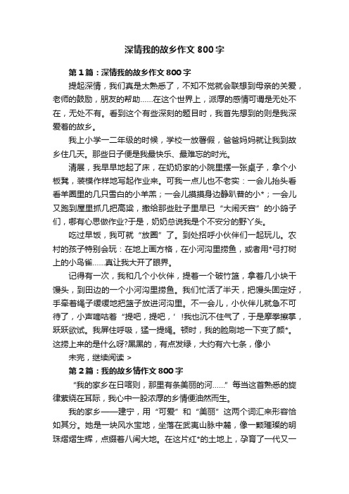 深情我的故乡作文800字