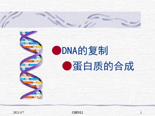 DNA的复制、转录、翻译