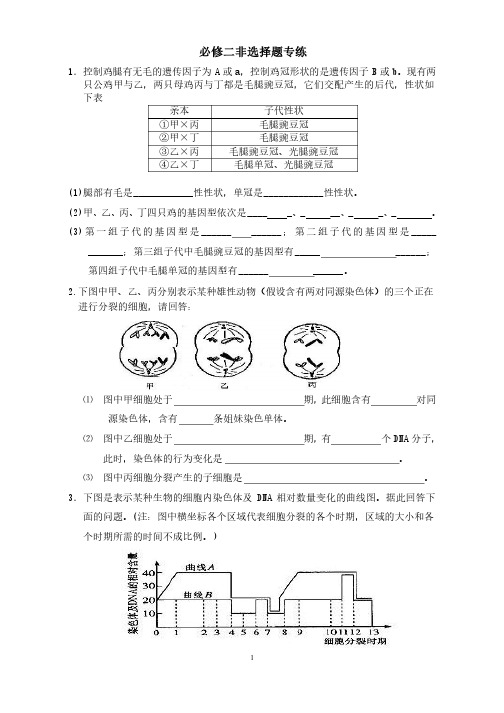 生物必修二期末复习非选择题专练和答案