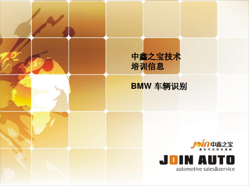 BMW车辆识别解读