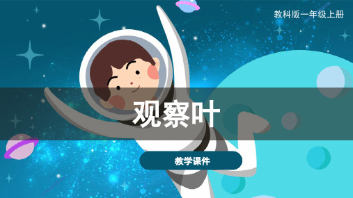 科教版小学一年级科学上册 《观察叶》原创课件