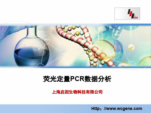 荧光定量PCR数据分析