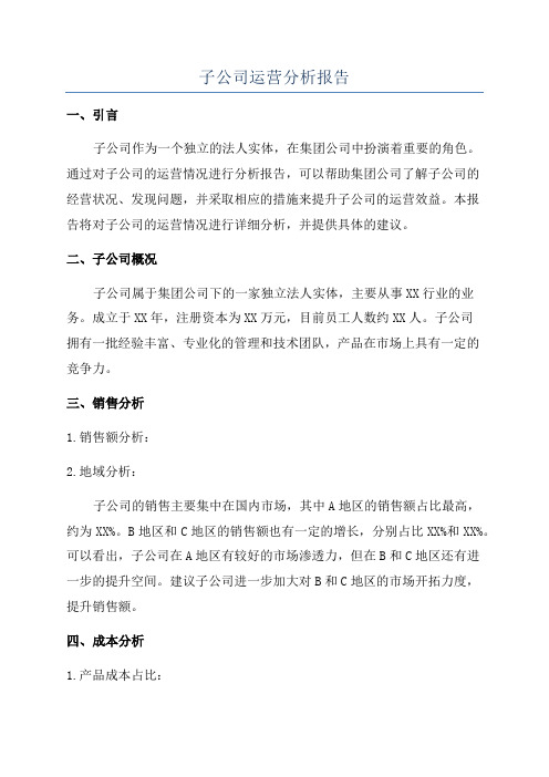 子公司运营分析报告