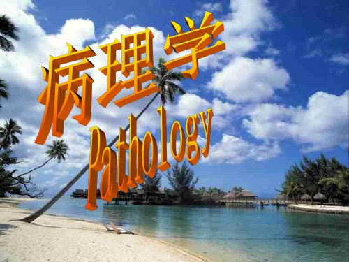 [病理学]组织和细胞的适应与损伤 损伤的修复ppt课件