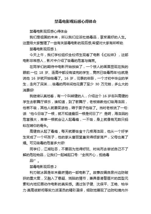 禁毒电影观后感心得体会