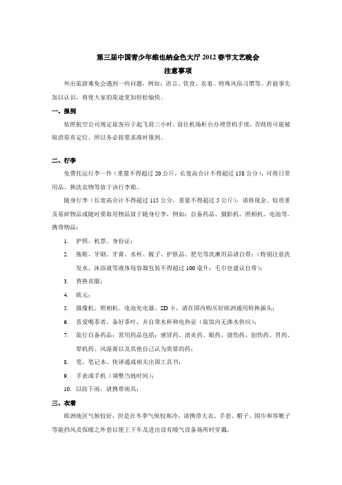 参加春节文艺晚会注意事项