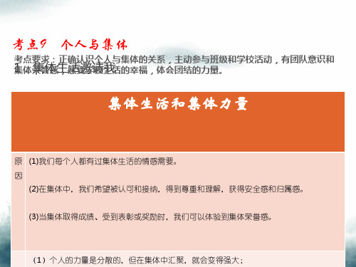 2019届中考道德与法治总复习考点9个人与集体课件