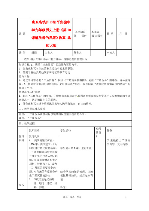 山东省滨州市邹平实验中学九年级历史上册《第10课解放者的风采》教案 北师大版