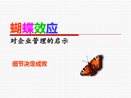 蝴蝶效应对企业管理的启示 PPT