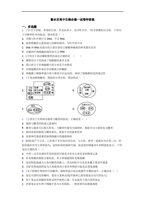 衡水市高中生物必修一试卷和答案