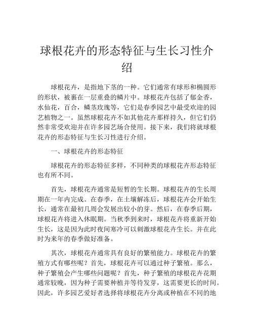 球根花卉的形态特征与生长习性介绍