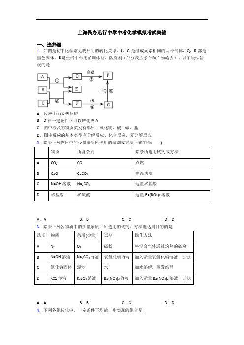 上海民办迅行中学中考化学模拟考试集锦