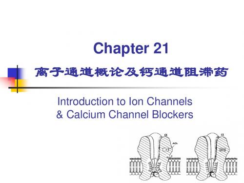 21离子通道概论及钙通道阻滞药