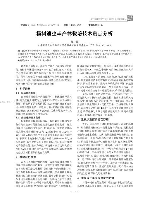 杨树速生丰产林栽培技术重点分析