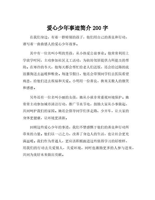 爱心少年事迹简介200字