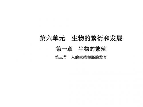 八年级生物下册第一章第三节人的生殖和胚胎发育课件新版冀教版