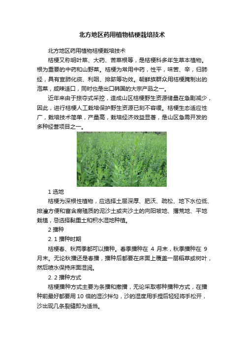 北方地区药用植物桔梗栽培技术