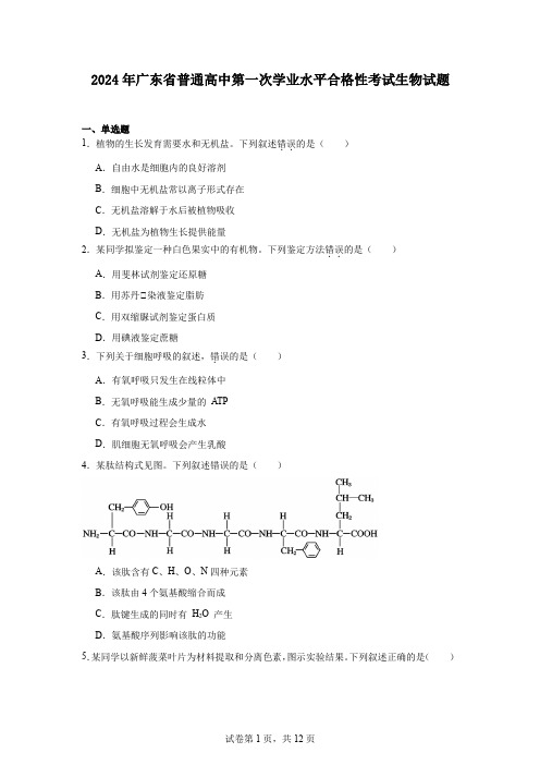 2024年广东省普通高中第一次学业水平合格性考试生物试题