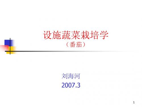 4.设施番茄栽培-1