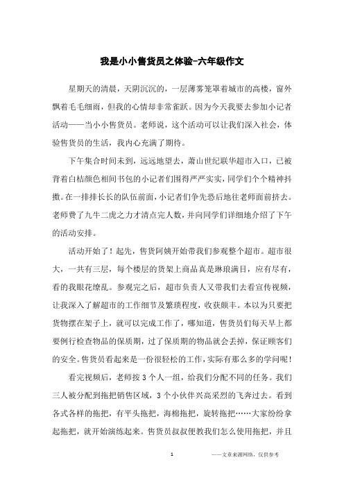 我是小小售货员之体验-六年级作文