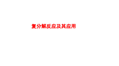 2024年中考化学一轮复习考点突破复分解反应及其应用课件