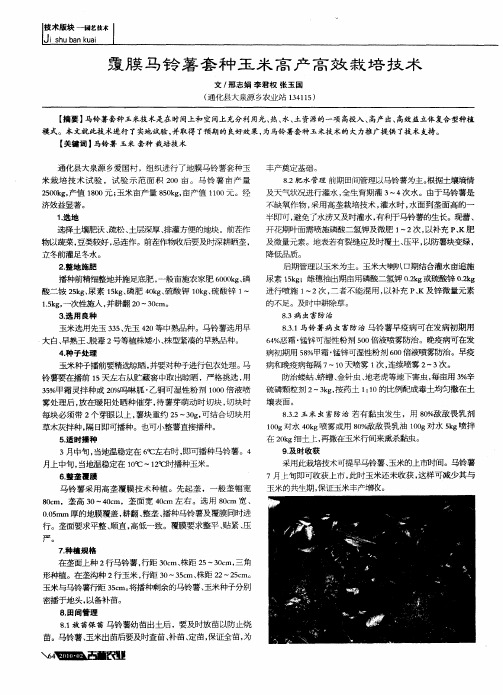 覆膜马铃薯套种玉米高产高效栽培技术