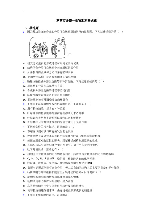 东营市必修一生物期末测试题