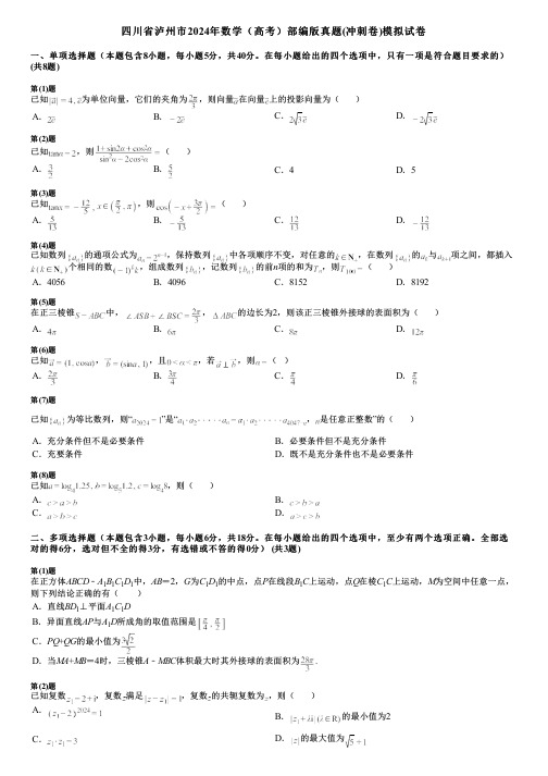 四川省泸州市2024年数学(高考)部编版真题(冲刺卷)模拟试卷