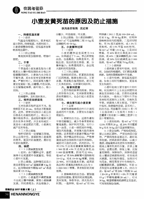 小麦发黄死苗的原因及防止措施