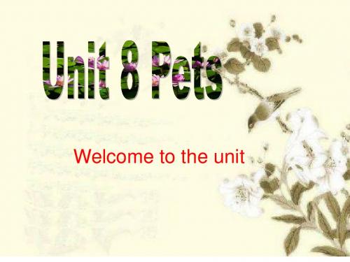 最新牛津译林版7B Unit8 Welcome to the unit课件(共26张PPT)