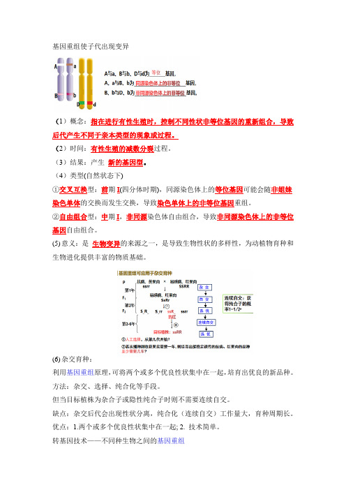 高中生物精品试题：基因重组使子代出现变异