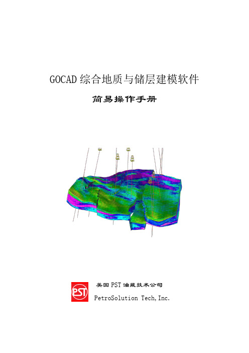 GOCAD 操作手册